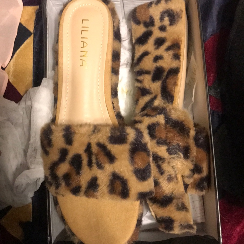 Cheetah Platforms - image 1